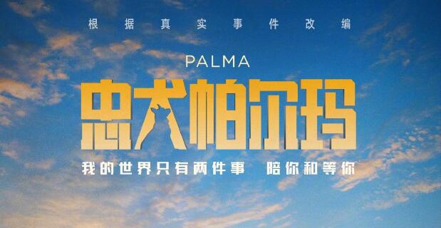 俄罗斯电影《忠犬帕尔玛》确认引进中国内地，并发布“奔向你”版先导预告
