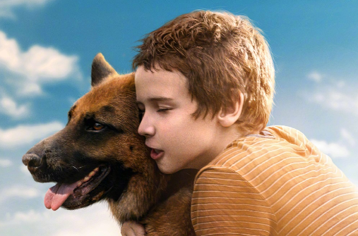 口碑佳作，俄罗斯进口电影《忠犬帕尔玛》定档8月26日全国上映
