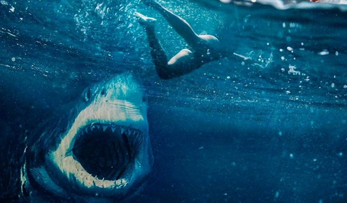 鲨鱼来袭，险象环生！《大白鲨之夺命鲨口》有望引进国内！