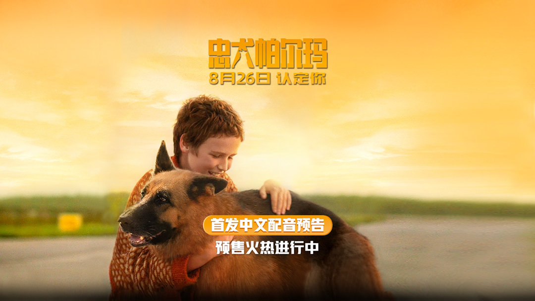电影《忠犬帕尔玛》“为你而来”中文配音预告，原来看狗狗电影哭是被暖哭