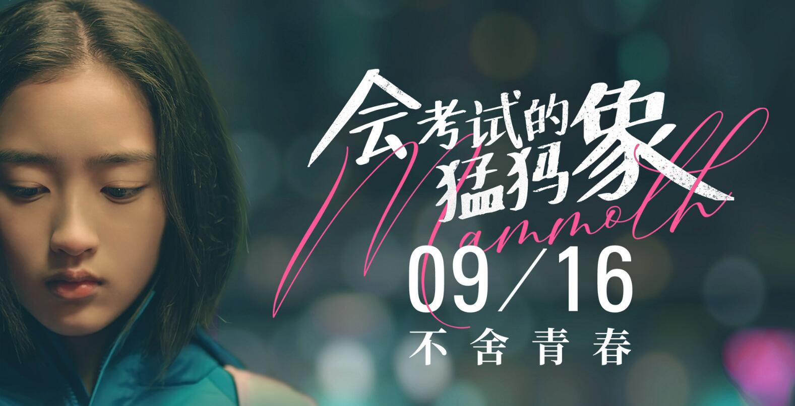 电影《会考试的猛犸象》定档9月16日，邓恩熙本色演绎少女成长