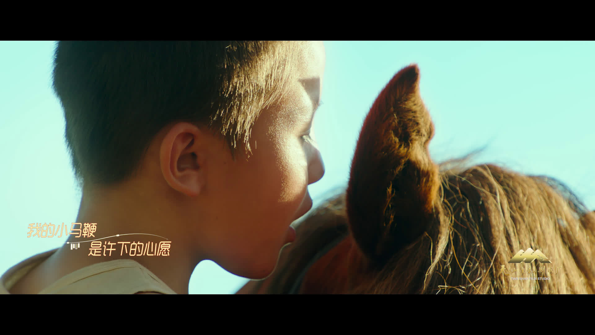 儿童电影《小马鞭》发布主题曲《我的小马鞭》MV