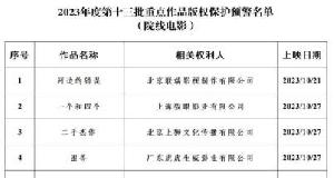 2023年度第十三批重点作品版权保护预警名单