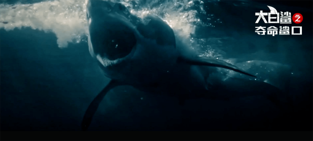 巨燃爆爽惊悚电影《大白鲨之夺命鲨口》8.26开启今夏降暑视听！