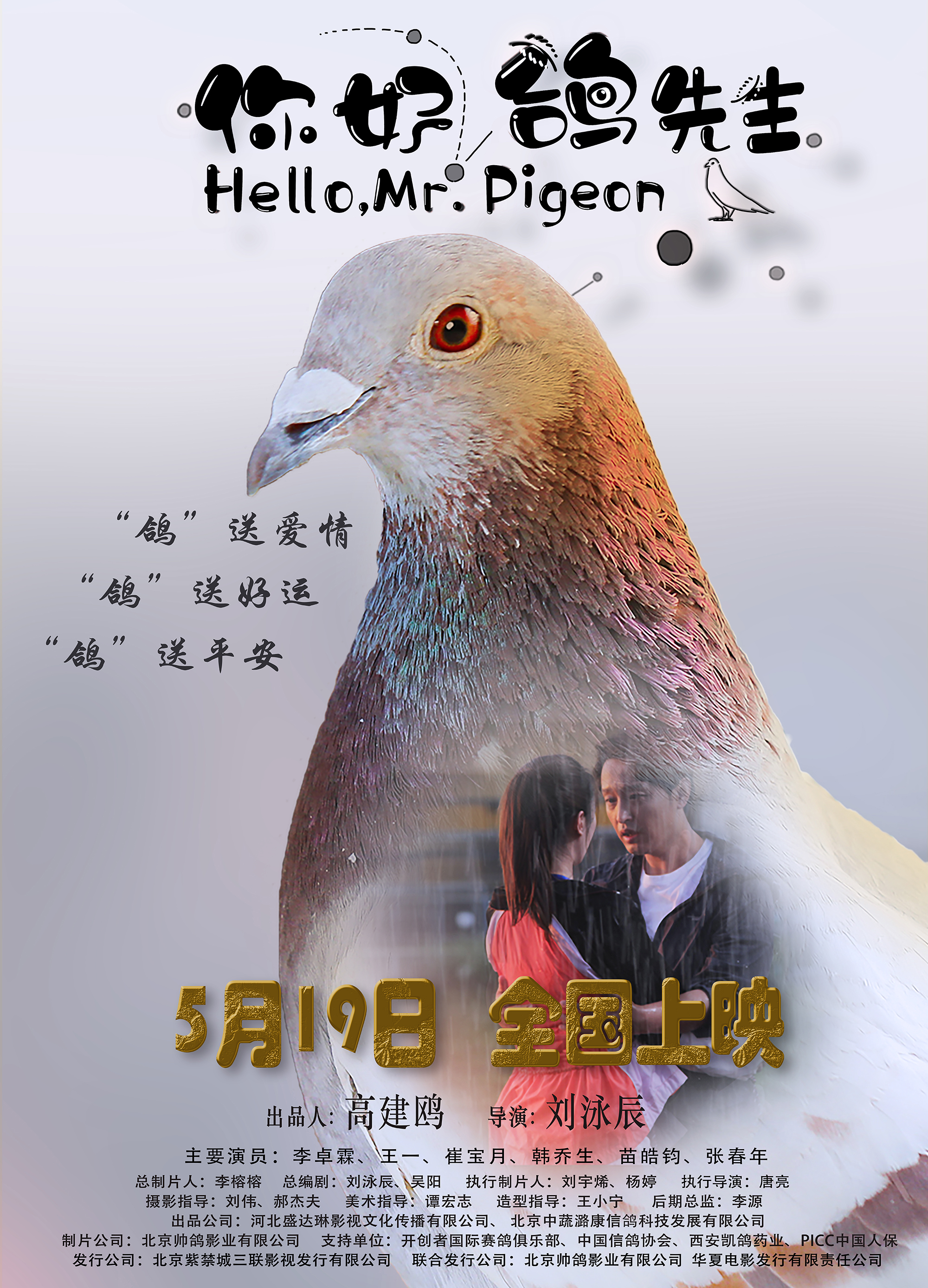 你好，鸽先生 - Hello，Mr.Pigeon
