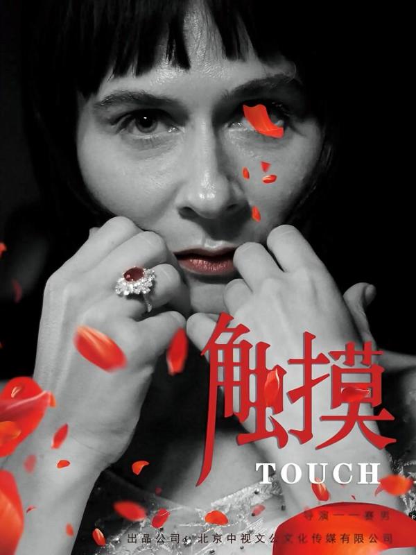 触摸 (Touch) 