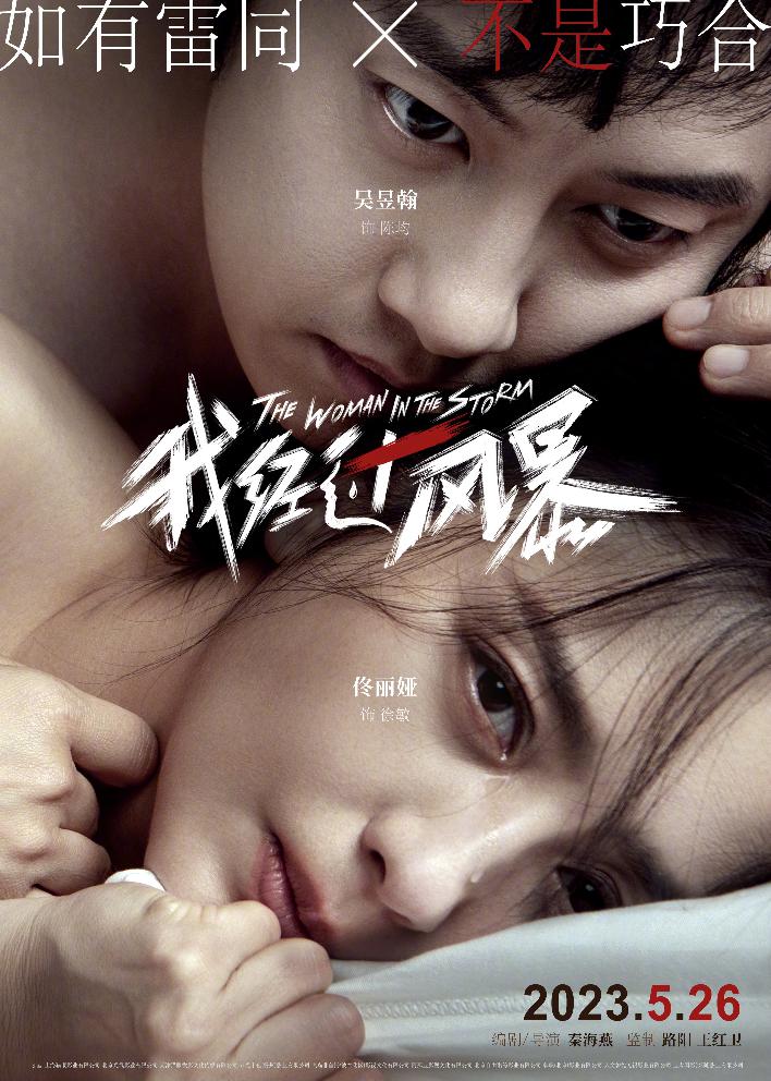 我经过风暴[The Woman In The Storm]